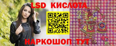прущие грибы Краснодар